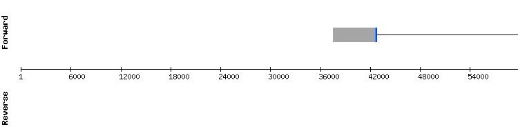 gene structure