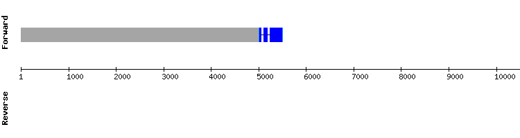 gene structure