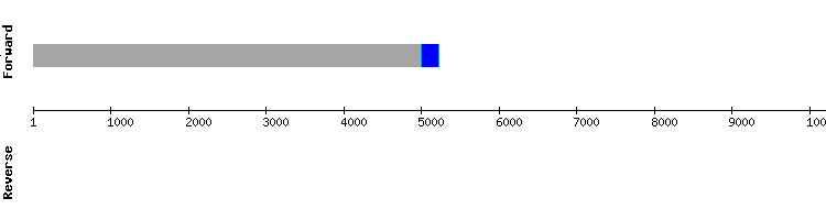 gene structure