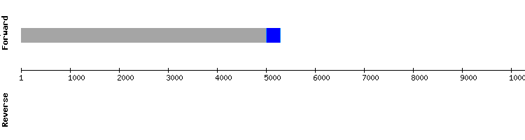 gene structure