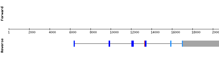 gene structure