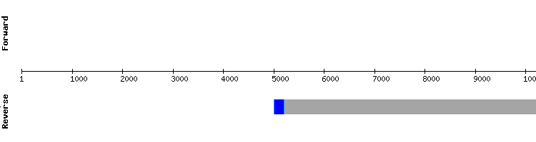 gene structure