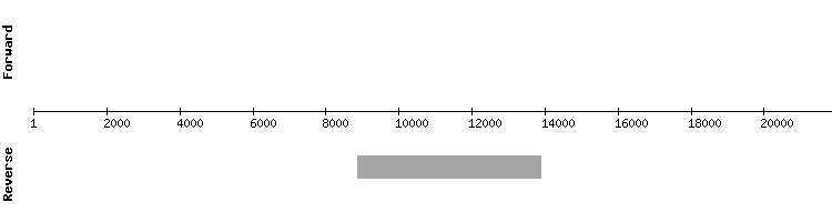 gene structure